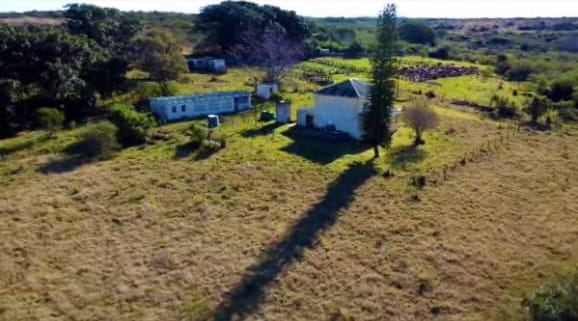 4 Bedroom Property for Sale in Frankfort Eastern Cape